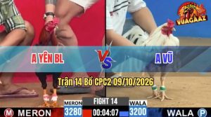Trận 14 CPC2 09/10/2026 – Gà Bướm Anh Vũ Gồng Gánh Phản Ngược
