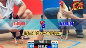 Trận 14 CPC2 Ngày 11/10/2026 trên Vua Gà AZ