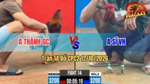 Trận 14 CPC2 Ngày 12/10/2026 trên Vua Gà AZ