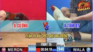 Trận 15 CPC2 05/10/2026 – Gà Anh Tâm Đá Canh Chặn Quá Khôn