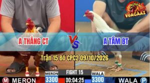 Trận 15 CPC2 09/10/2026 – Anh Thắng Đưa Hàng Hiệu Vào Lụm Anh Tâm
