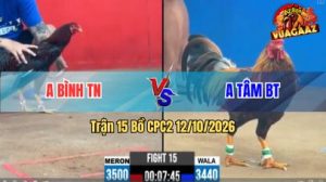 Trận 15 CPC2 Ngày 12/10/2026 trên Vua Gà AZ