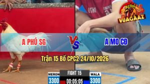 Trận 15 CPC2 Ngày 24/10/2026 Trên Vua Gà AZ