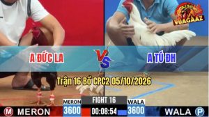Trận 16 CPC2 05/10/2026 – Anh Đức LA Hạ Anh Tú Trong 1 Tay Nước