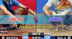 Trận 16 CPC2 07/10/2026 – Idol Bảo Sting Thể Hiện Tài Nghệ Nài Gà