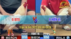 Trận 16 CPC2 09/10/2026 – Gà Anh Bito Siết Đúng 1 Hơi Lụm Tiền