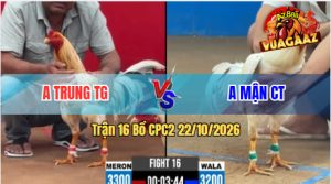 Trận 16 CPC2 22/10/2026 – Gà Điều Anh Trung Hạ Gọn Anh Mận CT