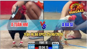 Trận 16 CPC2 25/10/2026 – Gà Điều Anh Tuấn Có Chân Dứt Điểm