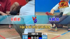 Trận 16 CPC2 Ngày 11/10/2026 trên Vua Gà AZ