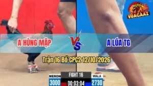 Trận 16 CPC2 Ngày 12/10/2026 trên Vua Gà AZ