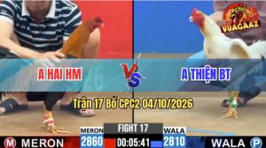 Trận 17 CPC2 04/10/2026 – Gà Anh Hai HM Đá Đâm Như Cái Máy