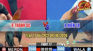 Trận 17 CPC2 09/10/2026 – Gà Xám Anh Hiển Đá Đòn Như Cây Đập