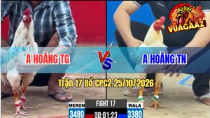 Trận 17 CPC2 25/10/2026 – Gà Úa Anh Hoàng Tránh Né Quá Khéo