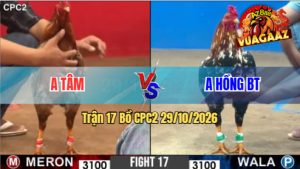 Trận 17 CPC2 29/10/2026 – Anh Tâm Đối Đầu Anh Hồng BT