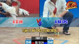 Trận 17 CPC2 Ngày 11/10/2026 trên Vua Gà AZ