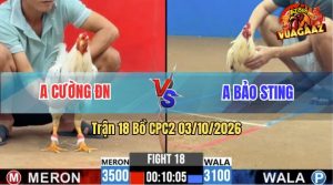 Trận 18 CPC2 03/10/2026 – Idol Bảo Sting Chấp Ngông Trước Anh Cường