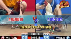 Trận 18 CPC2 07/10/2026 – Gà Bướm Anh Hắc Coca Đá Chân Nào Đâm