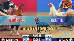 Trận 18 CPC2 09/10/2026 – Gà Anh Thành Có Lối Đá Quá Khôn Khéo