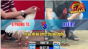 Trận 18 CPC2 25/10/2026 – Anh Phong Siết Mấy Chân Hạ Anh Lé