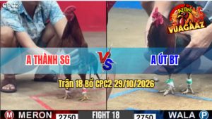 Trận 18 CPC2 29/10/2026 – Gà Anh Út Có Pha Phản Tang Quá Hay