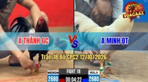 Trận 18 CPC2 Ngày 12/10/2026 trên Vua Gà AZ