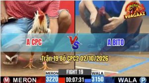 Trận 19 CPC2 02/10/2026 – Anh Bito Đụng Độ Với Đối Thủ Cứng Cựa