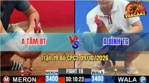 Trận 19 CPC2 09/10/2026 – Anh Tâm BT Làm Thịt Anh Bình TG