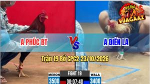 Trận 19 CPC2 23/10/2026 – Anh Phúc Hạ Anh Điền Trong 1 Nốt Nhạc