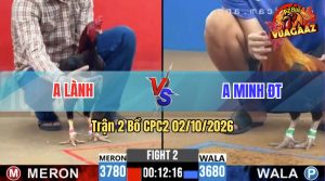 Trận 2 CPC2 02/10/2026 – Anh Lành Chưa Thả Gà Đã Dí Idol Ăn 6