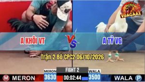 Trận 2 CPC2 06/10/2026 – Gà Úa Anh Tỷ Đá Chân Nào Cũng Có Cựa
