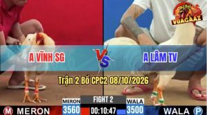 Trận 2 CPC2 08/10/2026 – Gà Bướm Anh Vĩnh Canh Chặn Quá Khéo