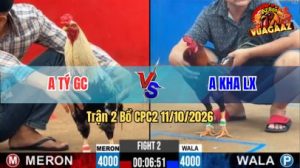 Trận 2 CPC2 Ngày 11/10/2026 trên Vua Gà AZ