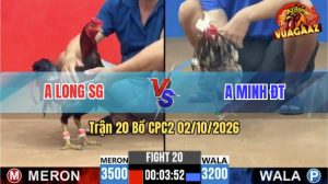 Trận 20 CPC2 02/10/2026 – Idol Minh ĐT Chấp Ngông, Bị Anh Long Lụm