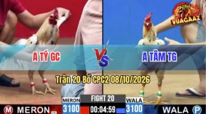 Trận 20 CPC2 08/10/2026 – Anh Tý GC Làm Thịt Anh Tâm TG