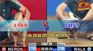 Trận 20 CPC2 09/10/2026 – Gà Bướm Anh Đạt Đá Cái Bo Quá Khủng