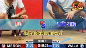 Trận 21 CPC2 03/10/2026 – Anh Bảo Sting Thất Thủ Trước Anh Út