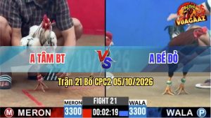 Trận 21 CPC2 05/10/2026 – Gà Anh Tâm Gồng Gánh Cứu Chủ