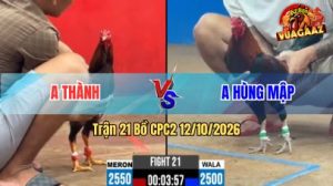Trận 21 CPC2 Ngày 12/10/2026 trên Vua Gà AZ