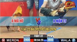Trận 22 CPC2 02/10/2026 – Anh Mã Hổ Phản Đòn Thắng Ngược Anh Mận