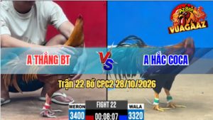 Trận 22 CPC2 28/10/2026 – Anh Hắc Coca Đánh Bại Anh Thắng BT