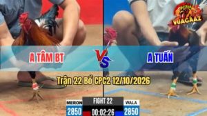 Trận 22 CPC2 Ngày 12/10/2026 trên Vua Gà AZ