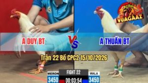 Trận 22 CPC2 Ngày 15/10/2026 Trên Vua Gà AZ