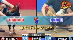Trận 23 CPC2 07/10/2026 – Anh Mận Phản Kèo Hạ Anh Hắc Coca