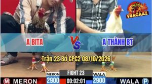 Trận 23 CPC2 08/10/2026 – Anh Thành Hạ Anh Bita Trong 3 Nốt Nhạc