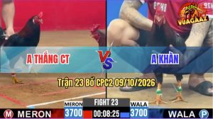 Trận 23 CPC2 09/10/2026 – Anh Khàn Đánh Bại Anh Thắng Cần Thơ