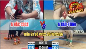 Trận 23 CPC2 28/10/2026 – Idol Bảo Sting Làm Thịt Anh Hắc Coca