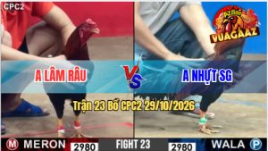Trận 23 CPC2 29/10/2026 – Gà Anh Nhựt Đá Đòn Như Xe Tải Đụng