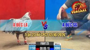 Trận 23 CPC2 Ngày 12/10/2026 trên Vua Gà AZ