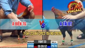 Trận 23 CPC2 Ngày 15/10/2026 Trên Vua Gà AZ