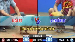 Trận 24 CPC2 04/10/2026 – Anh Thuần BT Đánh Bại Anh Ca ĐT